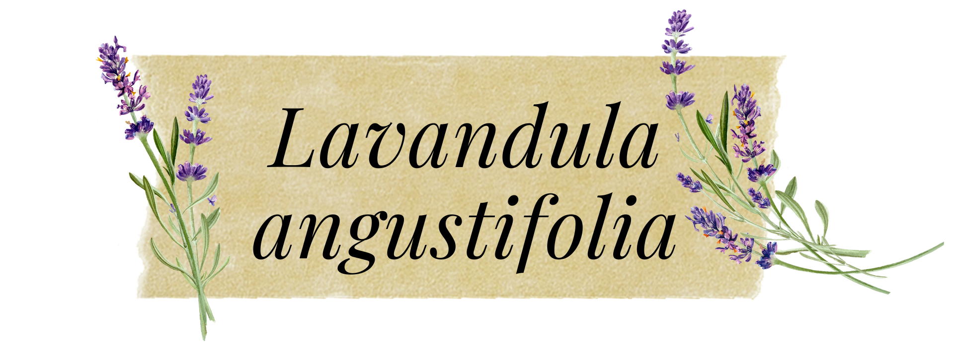podzime (13)